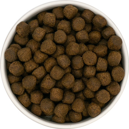 Dinner Puppy Łosoś z batatami i warzywami 6kg- hipoalergiczna, bezzbożowa karma dla szczeniąt dużych ras