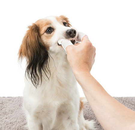 Trixie Dental Care nakładki na palce do higieny zębów 50szt