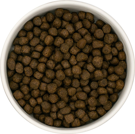 Dinner Puppy Łosoś z plamiakiem, białą rybą, batatami i szparagami 12kg - hipoalergiczna, bezzbożowa karma dla szczeniąt