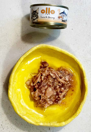 Ollo Cat nr1 tuńczyk z krewetkami 70g - mokra karma dla dorosłych kotów