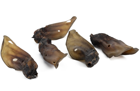 Meat Stuff ucho wołowe naturalne 1szt. - naturalny gryzak dla psa