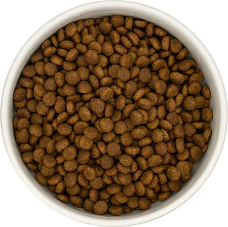 Dinner Cat indyk z kurczakiem 1,5kg - sucha karma dla kociąt