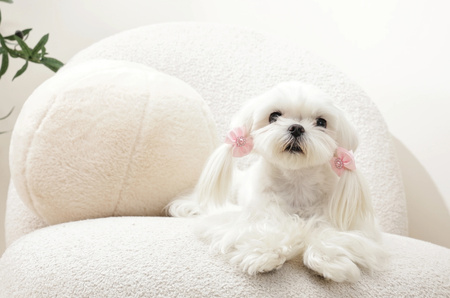 Mpets GLAM różowe gumki z kokardkami i perłą