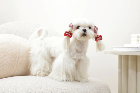 Mpets GLAM czerwone gumki z kokardkami i koroną