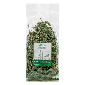 Tivo babka szerokolistna 100g 